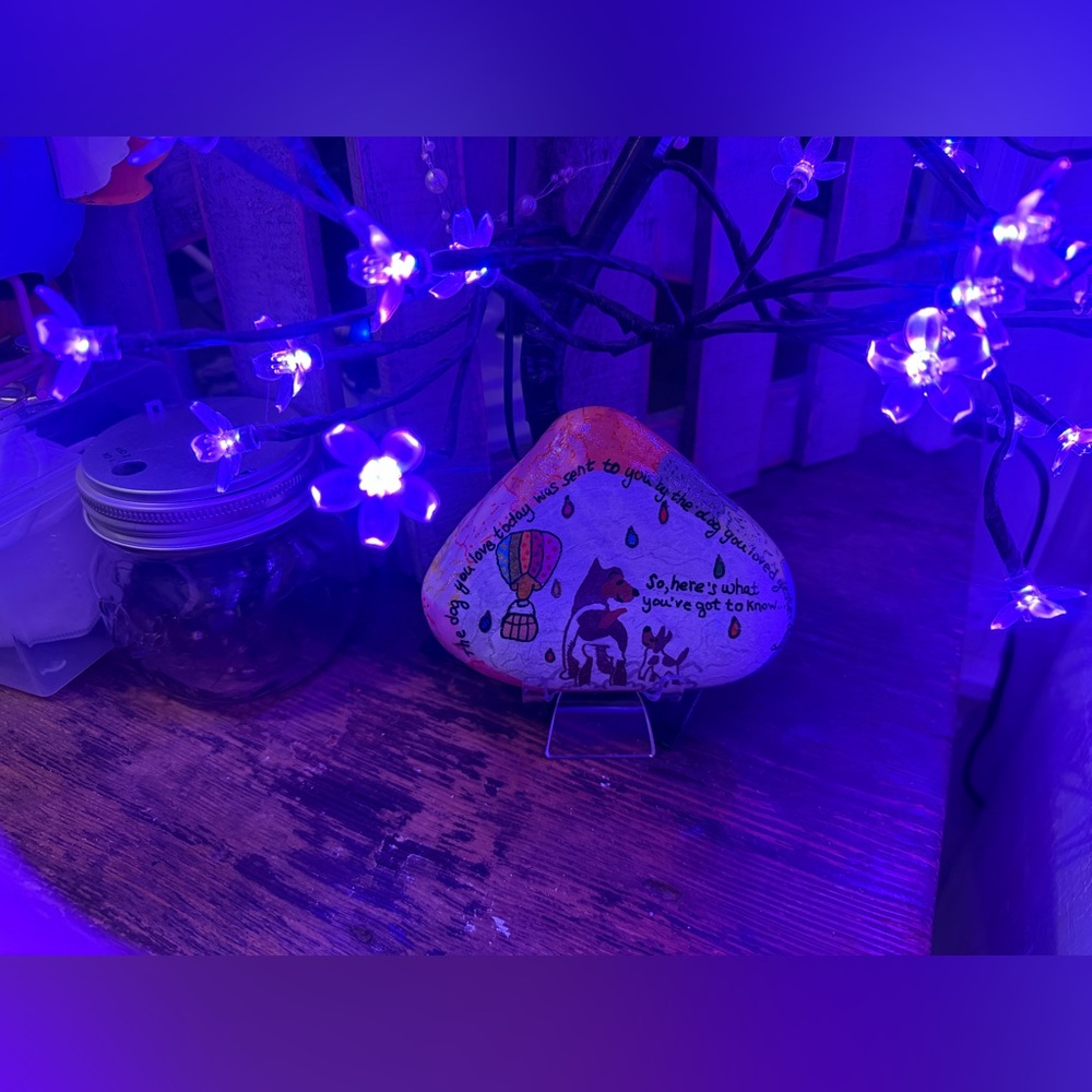 Hand-Painted, Colorful Memory Rock for Dogs - Picture 3 of 12